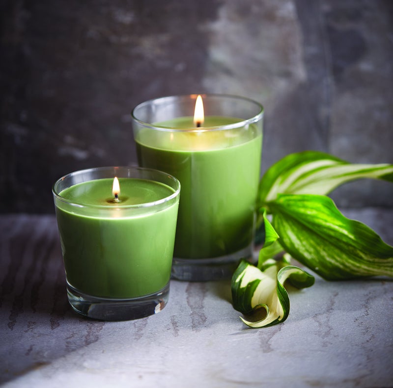Root Candles Scented Candles Honeycomb Veriglass Premium Handcrafted Beeswax Blend Candle, Large, Hosta - Image 2